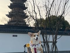 -龙华寺