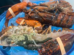 -半岛听涛蒸汽海鲜自助(K11店)