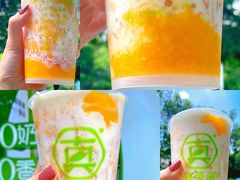 -真茶屋·0奶精(街道口一店)