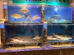 -老渔翁炖鱼坊(黄海西路东山店)