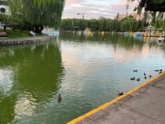 -团结湖公园