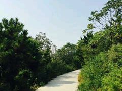 -府君山公园