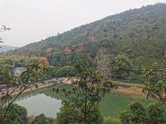 -九龙潭景区