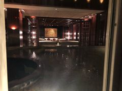 -新加坡文华东方酒店