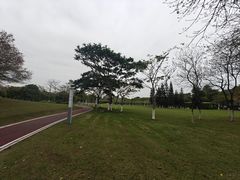 -厦门国家会计学院