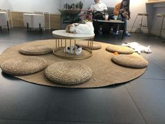 大堂-Heymao猫咖.咖啡厅(东门店)