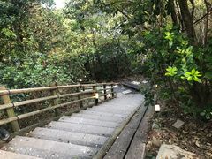 去温泉的路上-南紀白浜 浜千鳥の湯 海舟