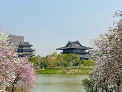 -海珠湖公园