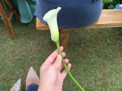 -Club Med地中海俱乐部·桂林度假村