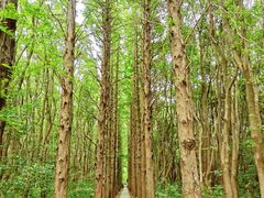 -同里国家湿地公园
