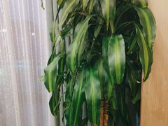 -高老庄新家宴(北斗星广场店)