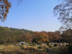 -东湖磨山景区