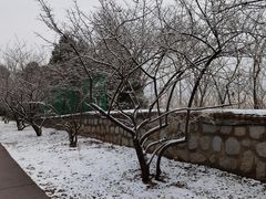 -北京西山国家森林公园