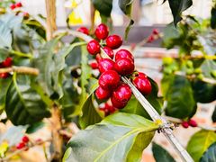 -后谷咖啡(建设巷店)