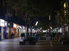 -同仁四季椰子鸡(海岸城天利店)