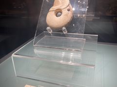 -辽宁省博物馆