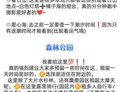 -巧克力渔家.小船海鲜家常菜(三浴场店)