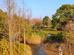 -尚贤河湿地