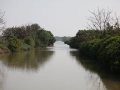 -大湾区中央湿地公园