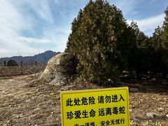 -白水寺森林公园