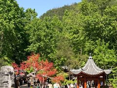 -刘伯温故里景区百丈漈