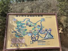 -青藏高原野生动物园