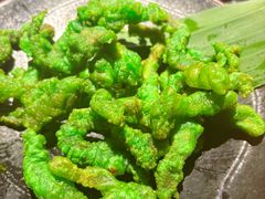 -一朵菌·野生菌探索家火锅(南亚店)