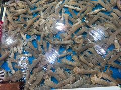 -旺角小渔村·海肠捞饭开创者(环山路店)