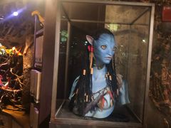 -奥兰多迪士尼动物王国乐园