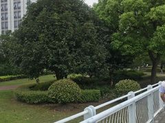 -陆家嘴金融服务广场