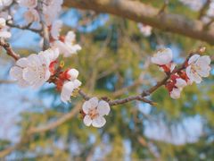 -唐岛湾公园