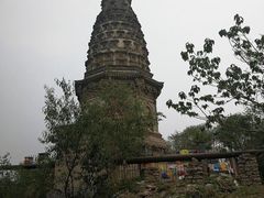 -云岗森林公园