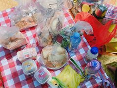 -艾溪湖湿地公园