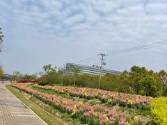 -春花秋色城市公园