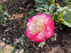 -人民公园(罗湖区)