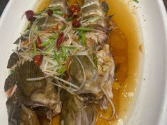 -今鲜源大酒店·中华餐饮名店(新湛路店)