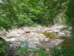 -青峰峡国家森林公园