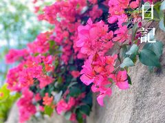 -乌山风景区