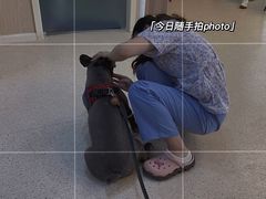 -亚宠动物医院·芭比堂宠物医院(盘龙店)