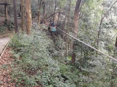 -衢州大荫山丛林飞越探险乐园