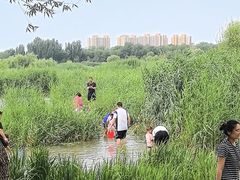 -绿堤公园