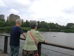 -前关湿地公园