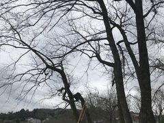 -楠溪江风景名胜区