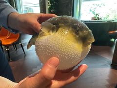 -肆月河豚·淮扬菜·湘菜(华天店)