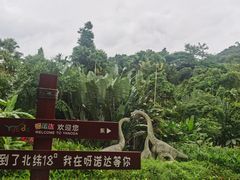 -呀诺达热带雨林