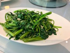 清炒时蔬-夫妻肺片·老字号