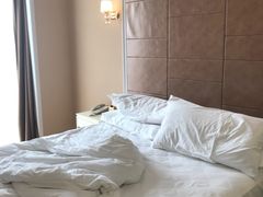 -维也纳酒店(苏州东方之门金鸡湖店)