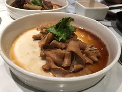 -MR鹅外