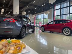 -TESLA 特斯拉(深圳观澜特斯拉直营钣喷中心)