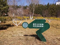 -滨河世纪广场公园